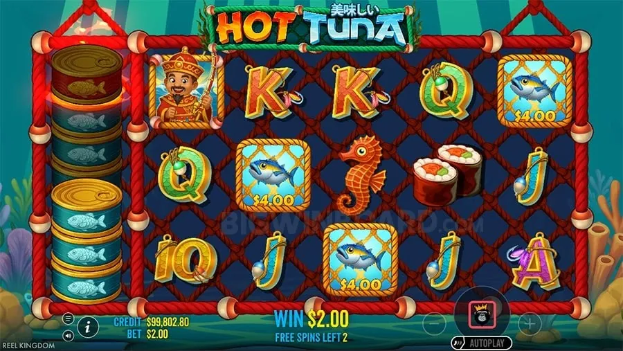nn777.com Avoiding Common Betting Mistakes